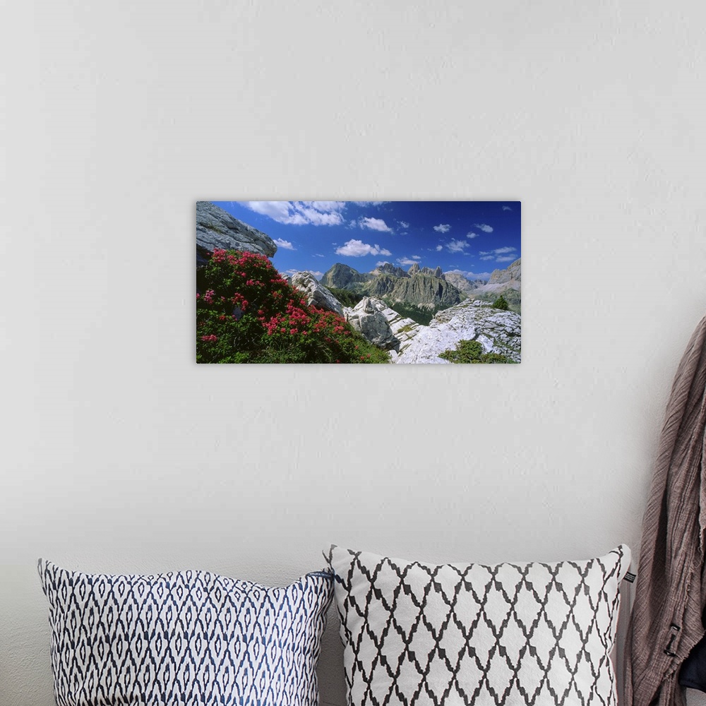 A bohemian room featuring Italy, Dolomites, view towards Mount Lagazuoi and Gruppo Fanes, rhododendron