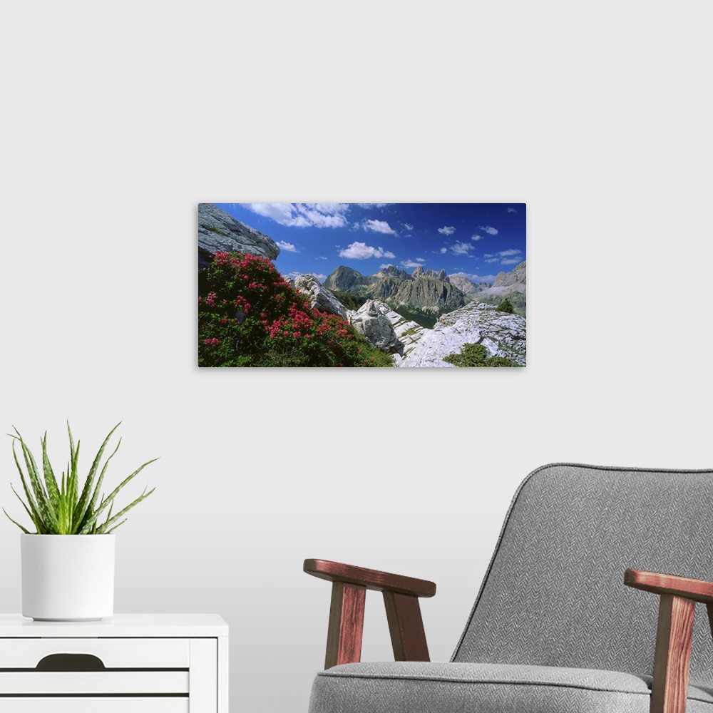 A modern room featuring Italy, Dolomites, view towards Mount Lagazuoi and Gruppo Fanes, rhododendron
