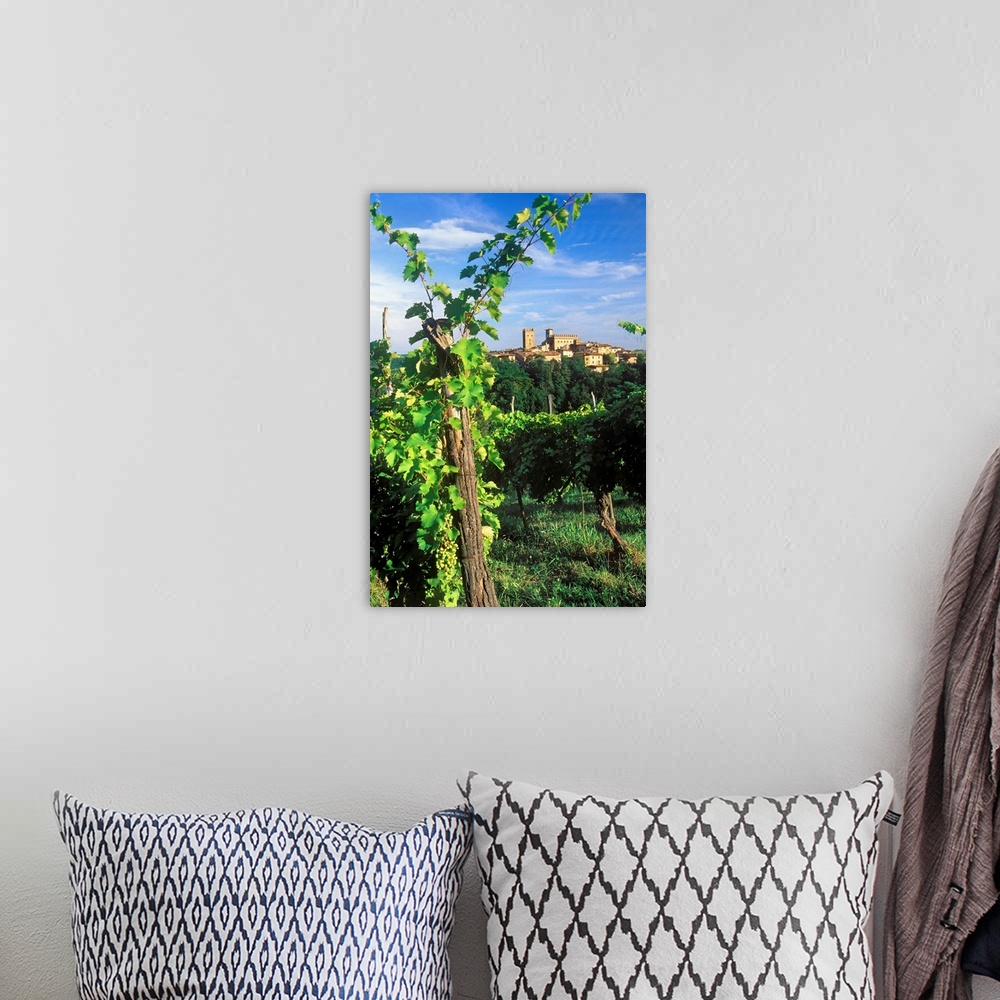A bohemian room featuring Italy, Emilia-Romagna, View towards Castell'Arquato town and vineyards