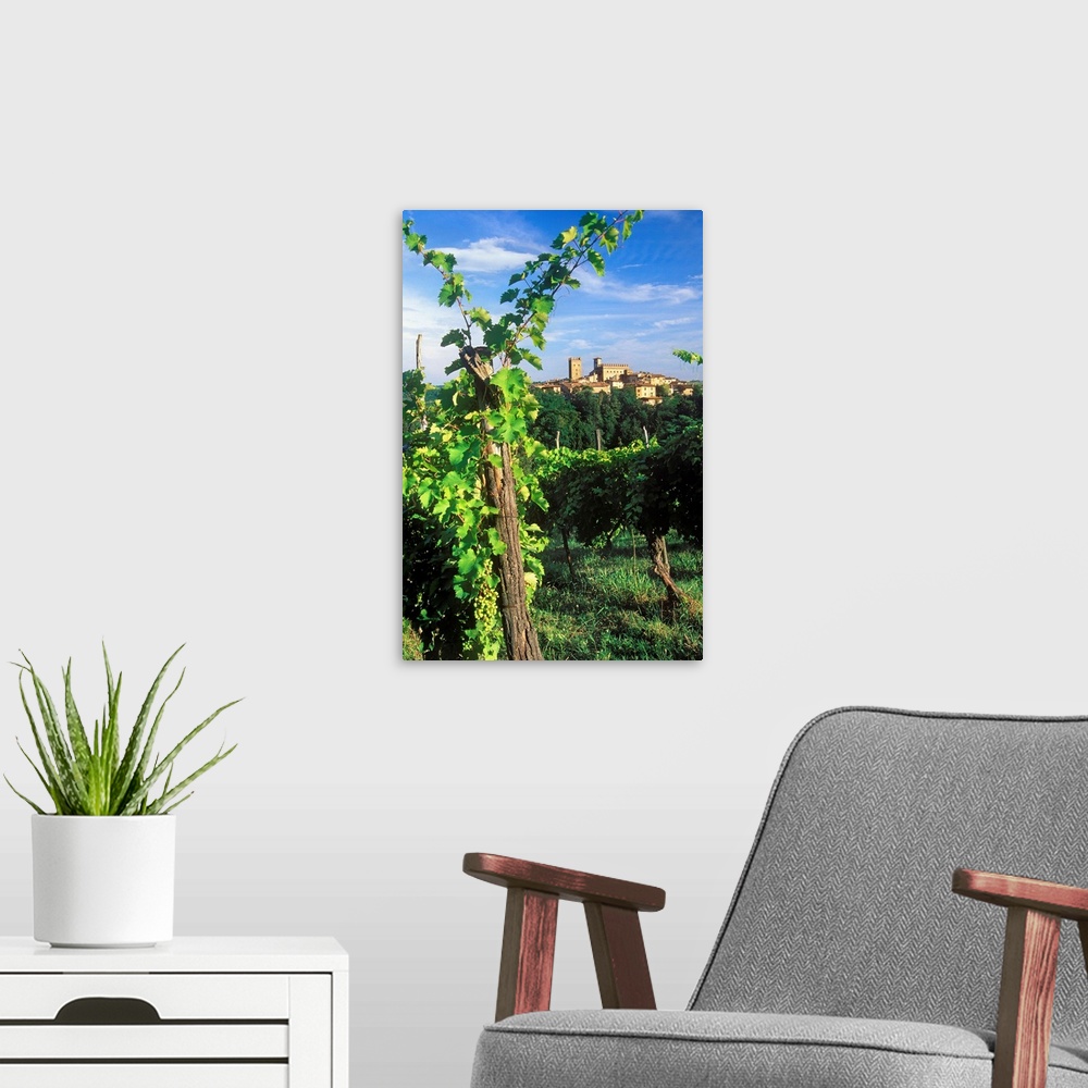 A modern room featuring Italy, Emilia-Romagna, View towards Castell'Arquato town and vineyards