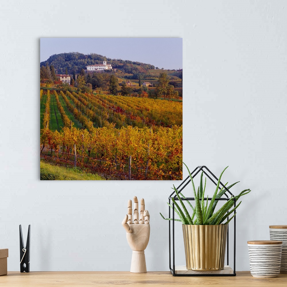 A bohemian room featuring Italy, Friuli, Collio Orientali, vineyards and Rosazzo Abbey in background