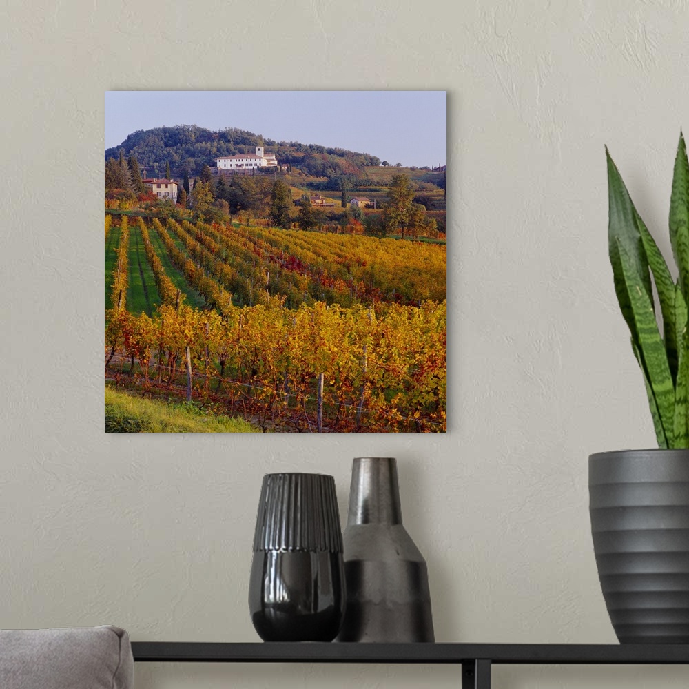 A modern room featuring Italy, Friuli, Collio Orientali, vineyards and Rosazzo Abbey in background