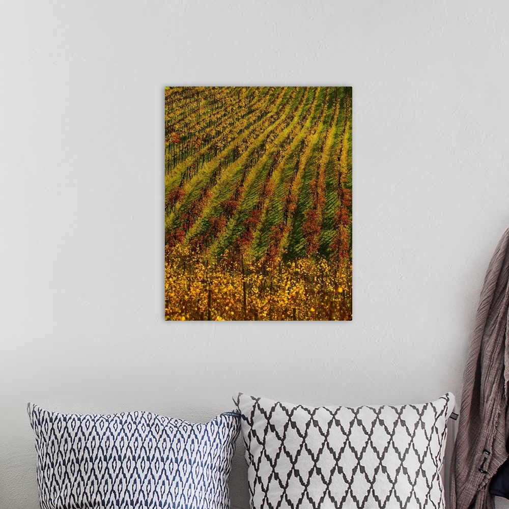 A bohemian room featuring Italy, Friuli, Collio, typical vineyard