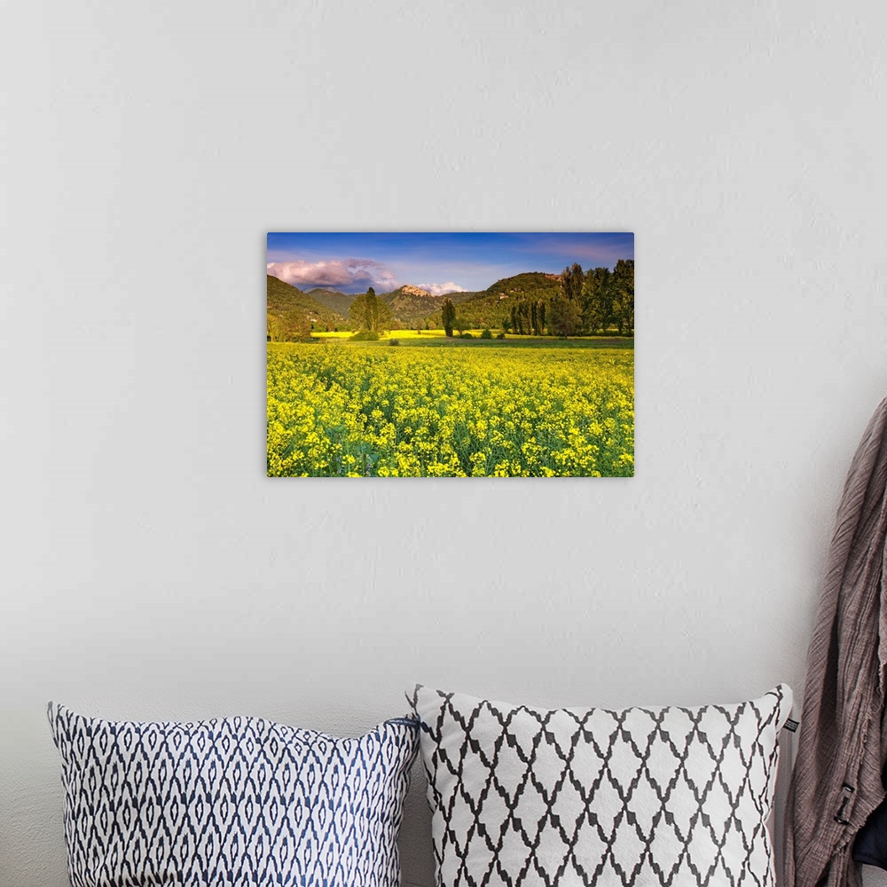 A bohemian room featuring Italy, Labro, View of the town in spring with a field of canola