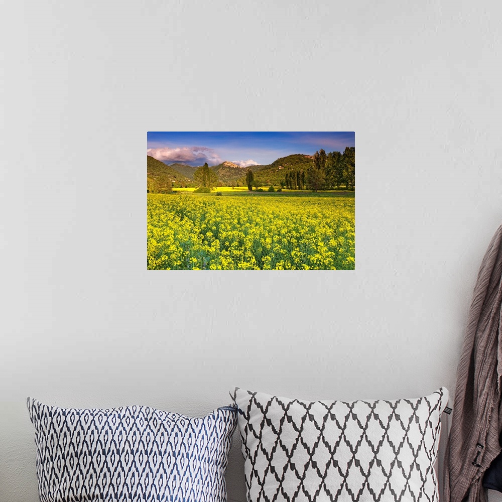 A bohemian room featuring Italy, Labro, View of the town in spring with a field of canola