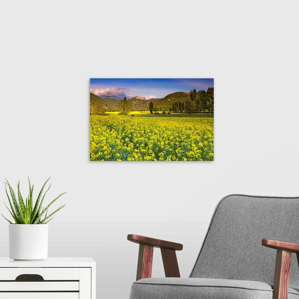 A modern room featuring Italy, Labro, View of the town in spring with a field of canola