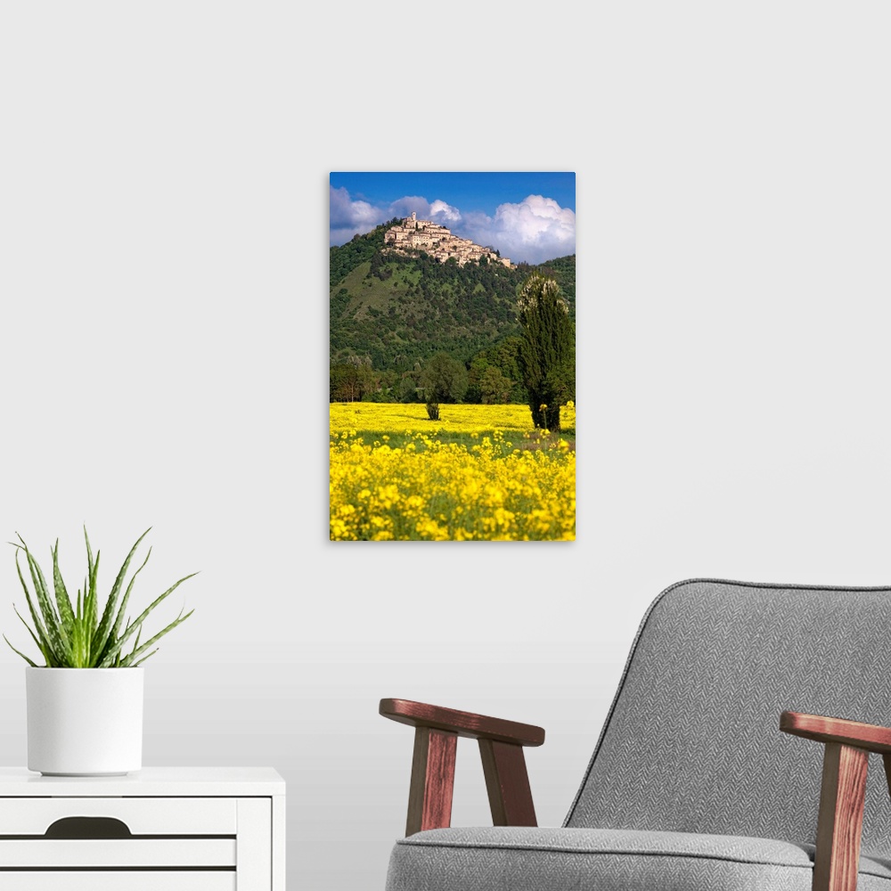 A modern room featuring Italy, Labro, View of the town with a field of canola flowers in the foreground