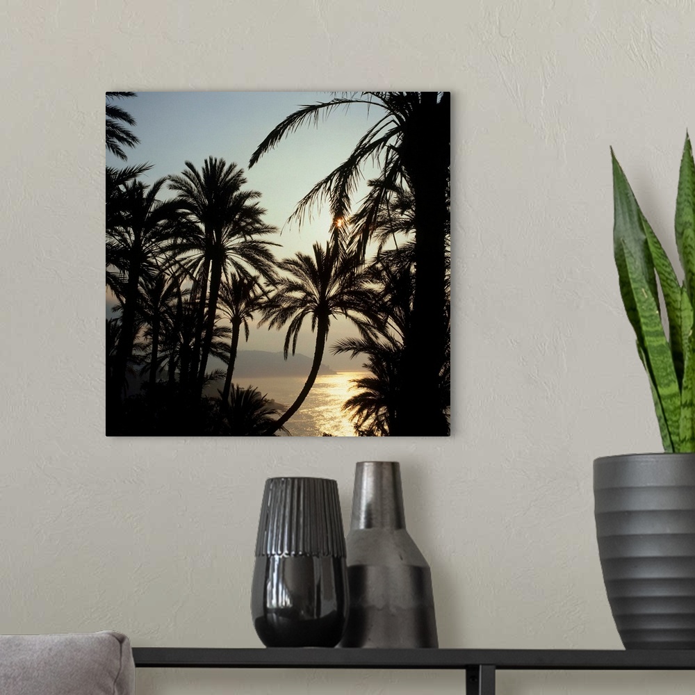 A modern room featuring Italy, Liguria, Bordighera, palm trees