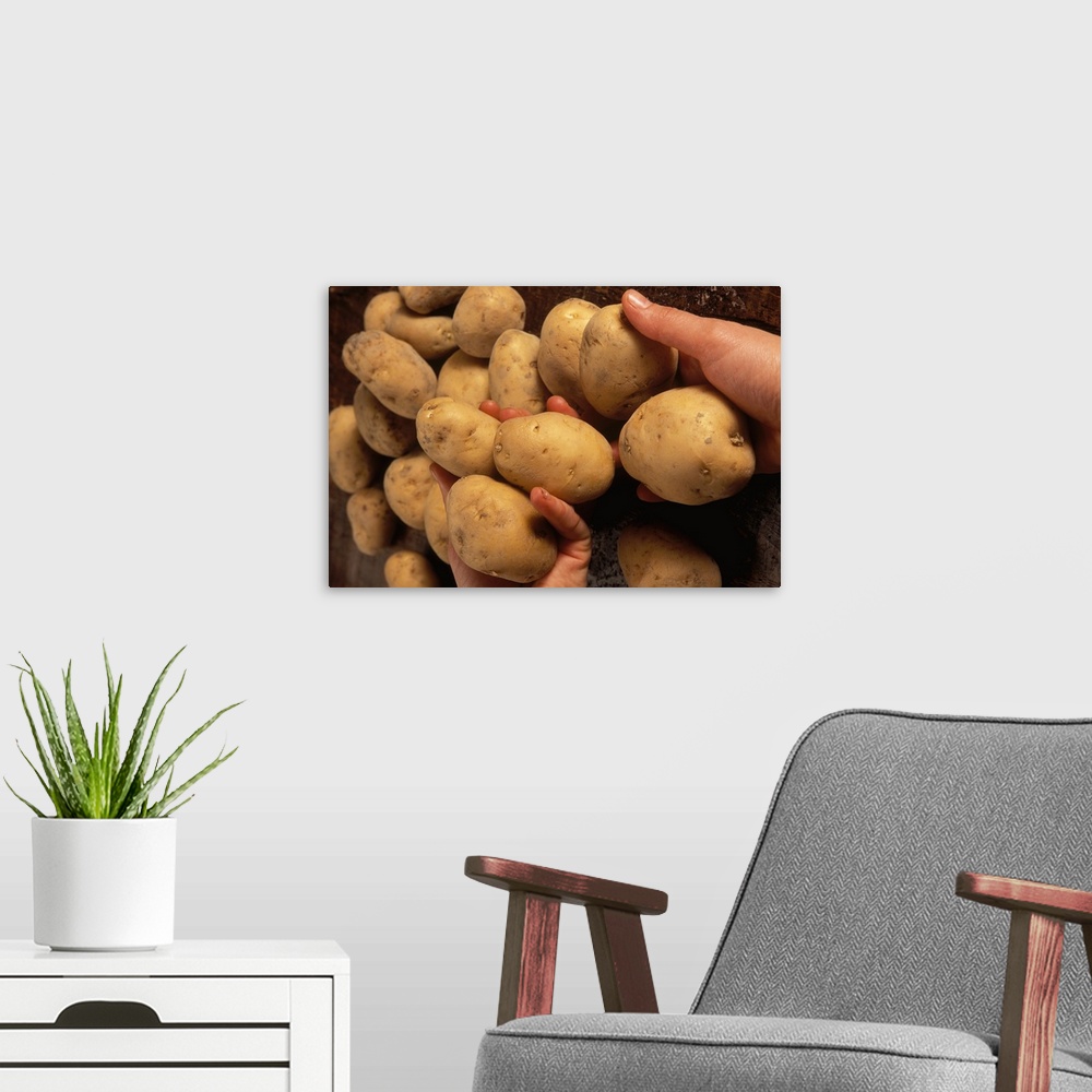 A modern room featuring Italy, Lombardy, Azienda agricola Molino del Sole, potatoes from Cencerate