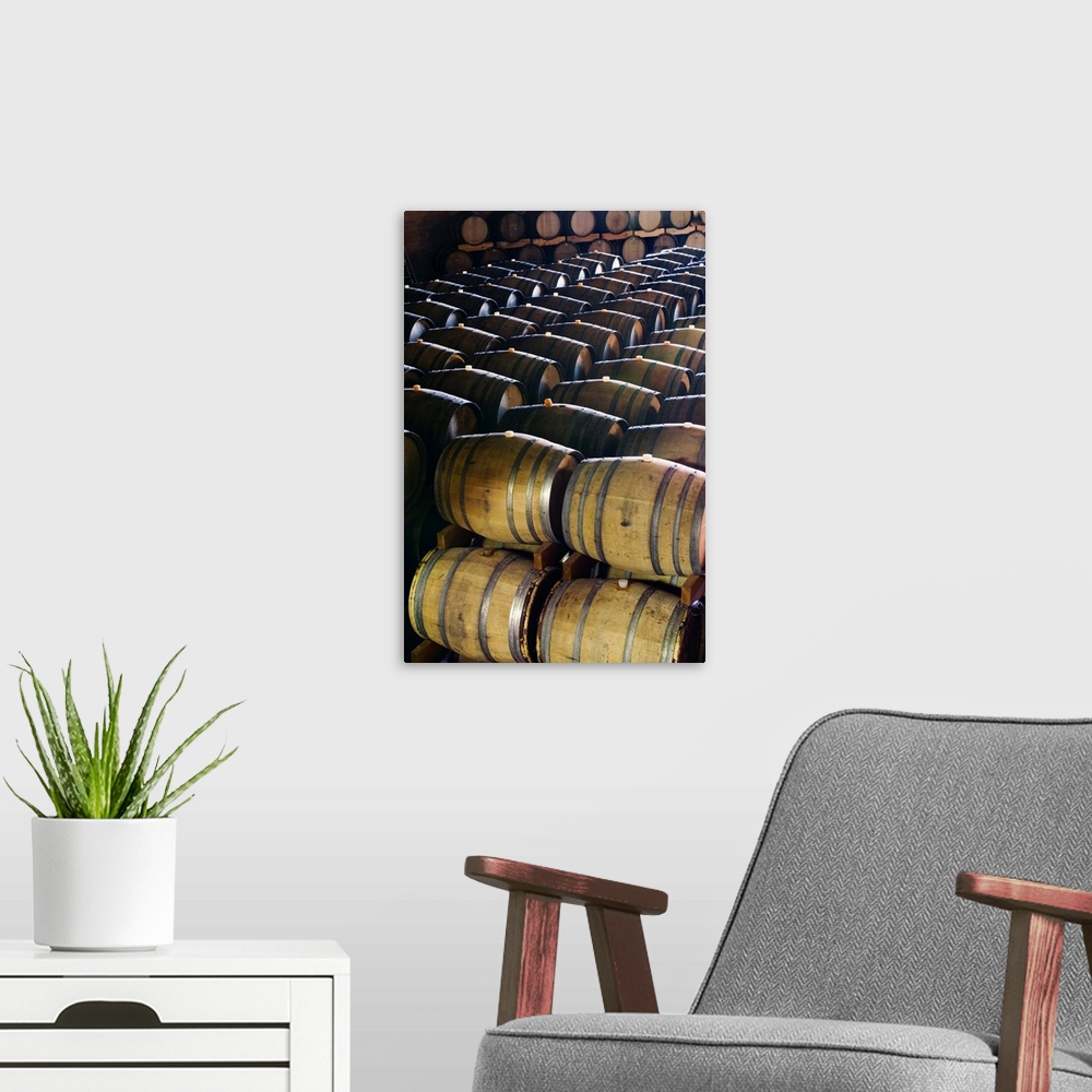 A modern room featuring Italy, Lombardy, Barriques in a cellar of Bellavista Wine Estate