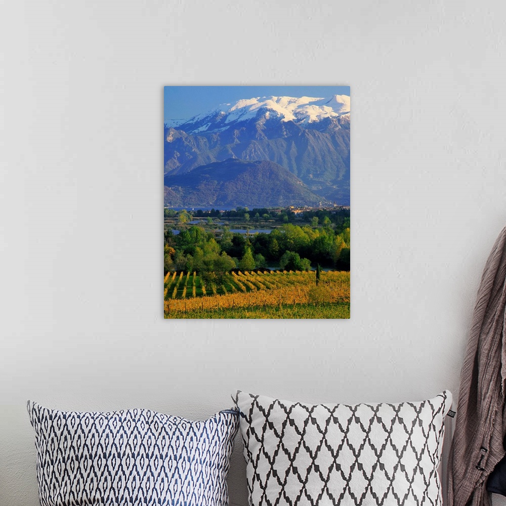 A bohemian room featuring Italy, Lombardy, Lago d'Iseo, vineyards and Monte Isola island