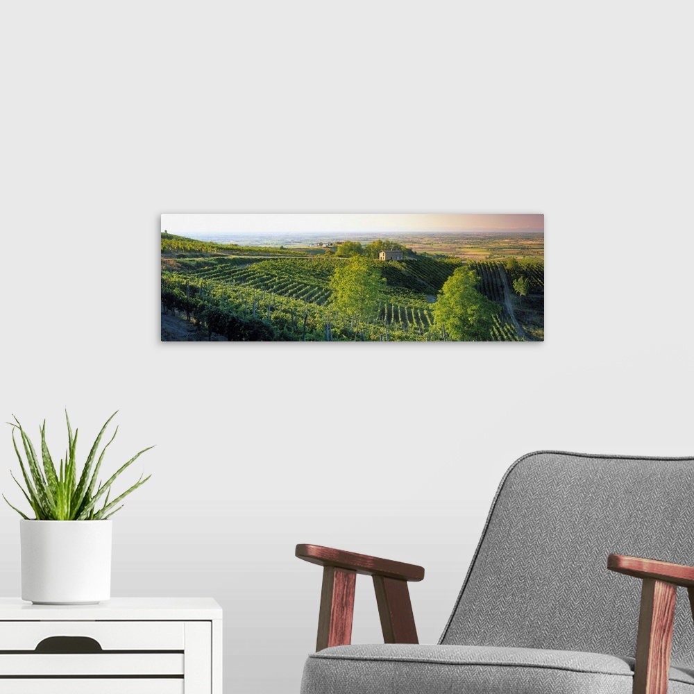 A modern room featuring Italy, Lombardy, Oltrepo Pavese, vineyards and Pianura Padana in background