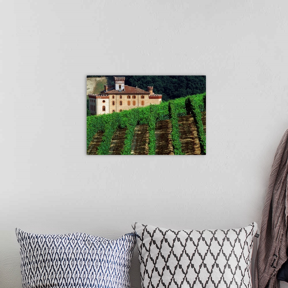 A bohemian room featuring Italy, Piedmont, Barolo, the castle, enoteque of Barolo wine