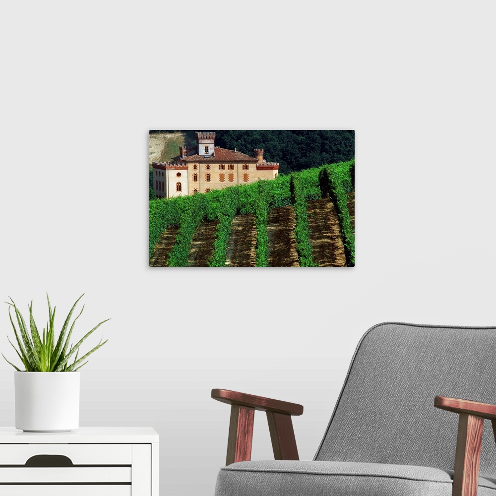 A modern room featuring Italy, Piedmont, Barolo, the castle, enoteque of Barolo wine