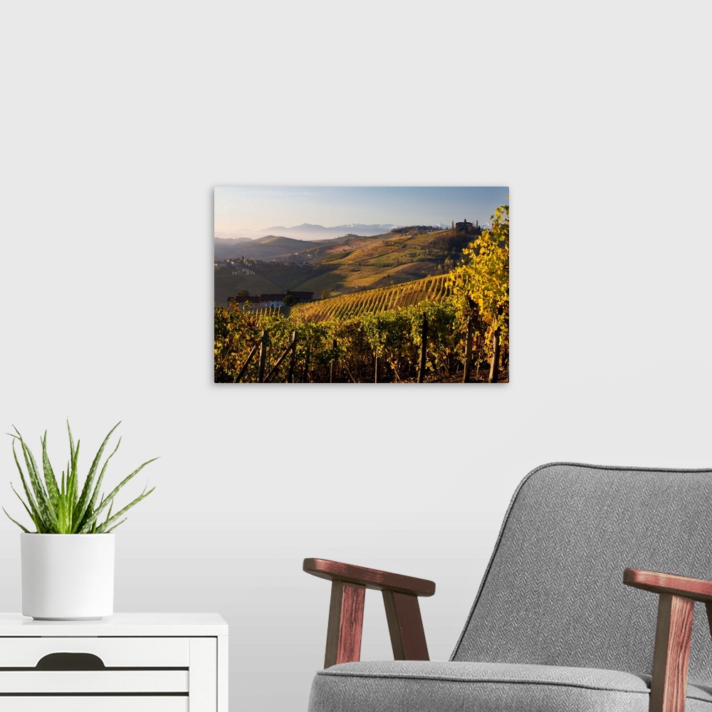 A modern room featuring Italy, Piedmont, Colline del Barolo, Cuneo district, Langhe, Barolo, Hills and vineyards