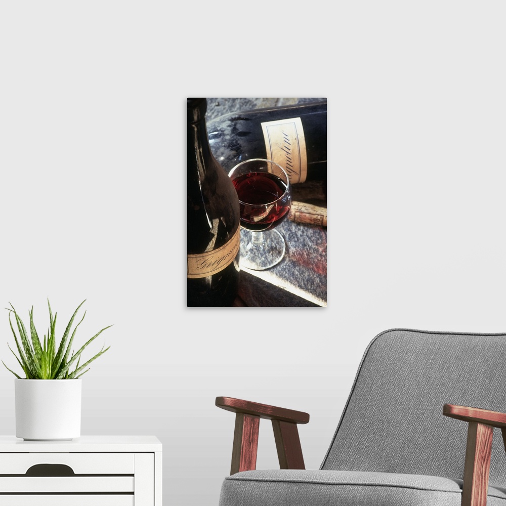 A modern room featuring Italy, Piedmont, Grignolino wine