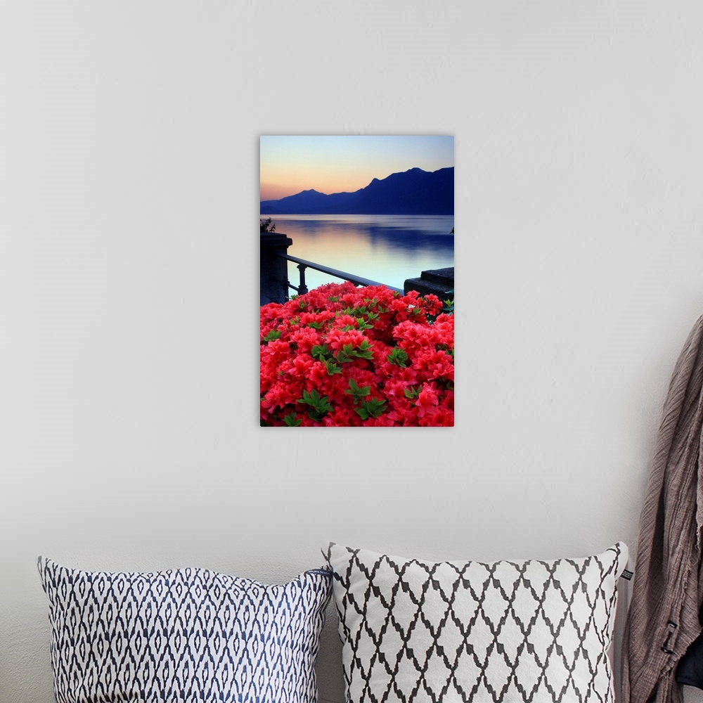 A bohemian room featuring Italy, Piedmont, Lake Maggiore, Verbania, dawn, Azalea flowering on the lakefront