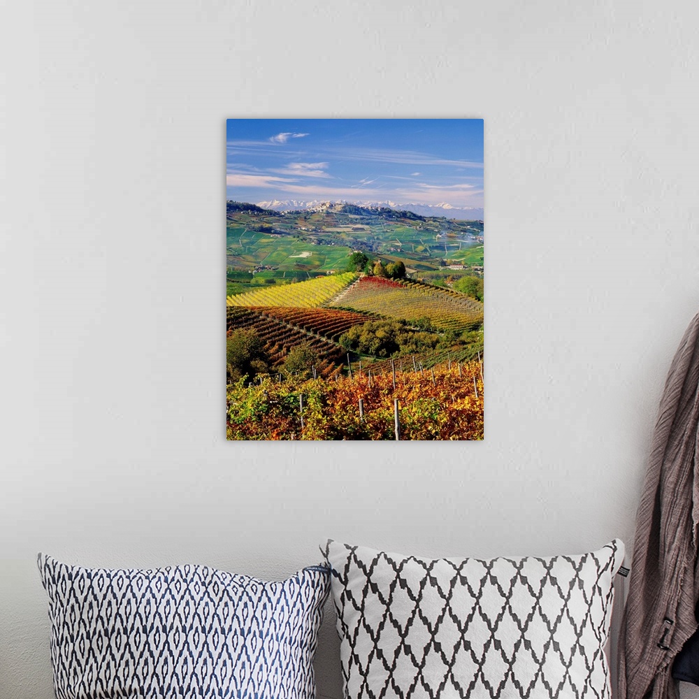 A bohemian room featuring Italy, Piedmont, Langhe, Barolo vineyards and La Morra village in background