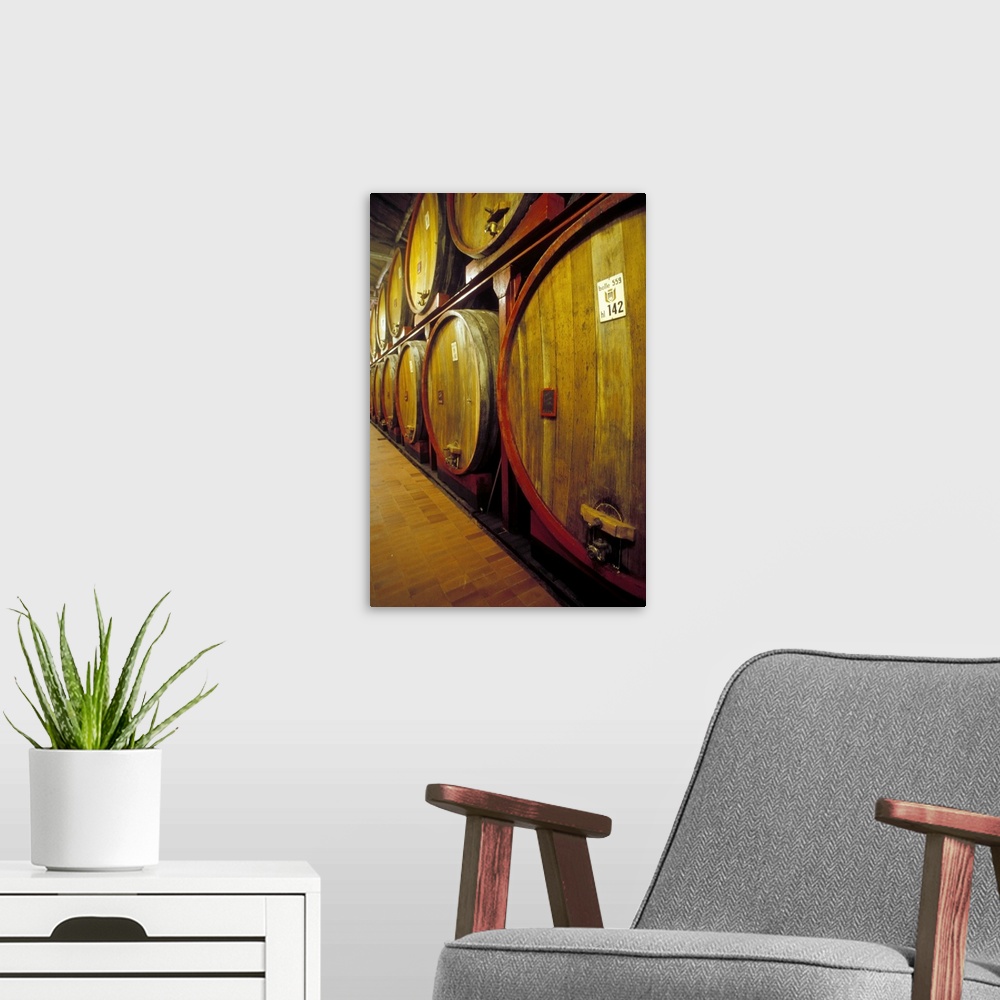 A modern room featuring Italy, Piedmont, Langhe, Cuneo, Fontana Fredda wine cellars
