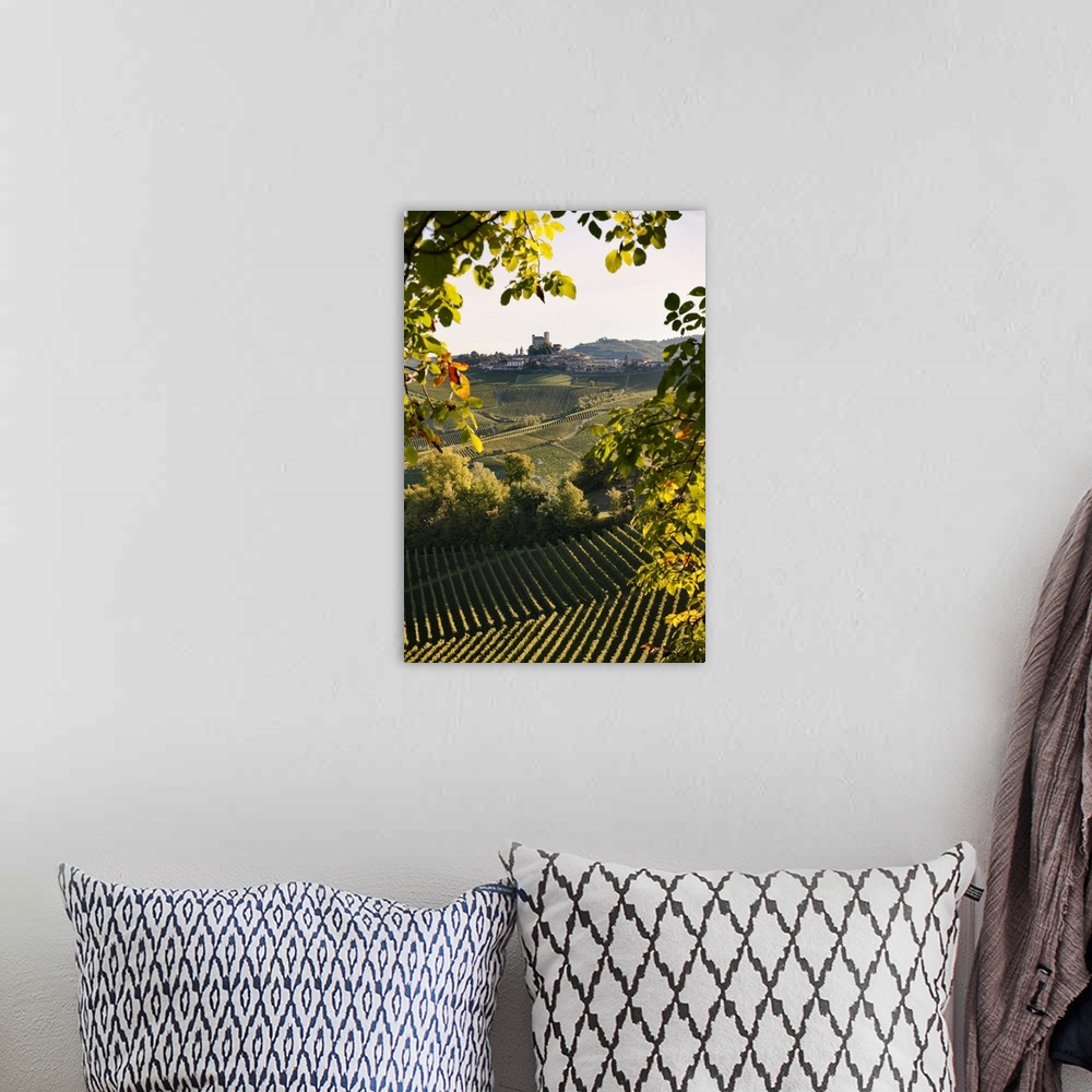 A bohemian room featuring Italy, Piedmont, Cuneo district, Langhe, Serralunga d'Alba, Landscape of vineyards hills and the ...