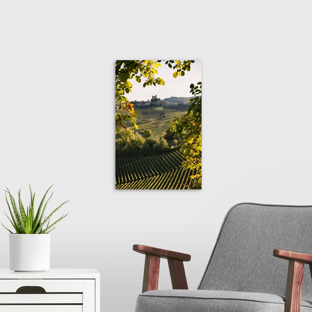 A modern room featuring Italy, Piedmont, Cuneo district, Langhe, Serralunga d'Alba, Landscape of vineyards hills and the ...