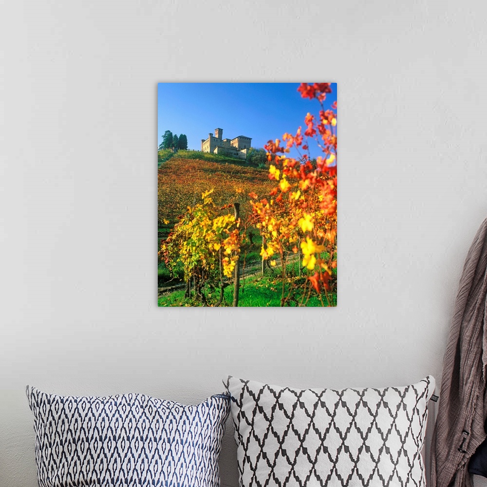 A bohemian room featuring Italy, Italia, Piedmont, Piemonte, Langhe, Vineyards and Grinzane Cavour castle