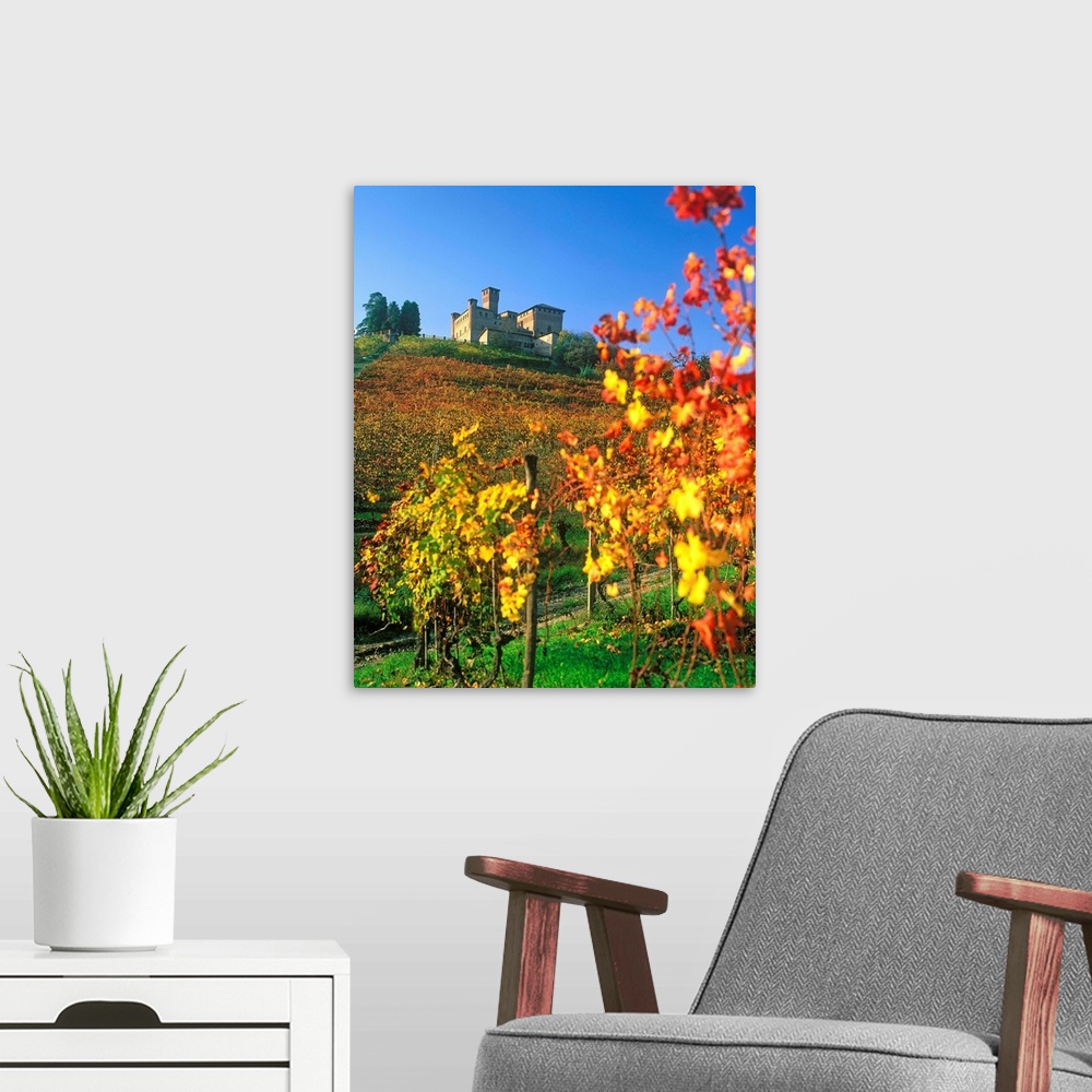 A modern room featuring Italy, Italia, Piedmont, Piemonte, Langhe, Vineyards and Grinzane Cavour castle
