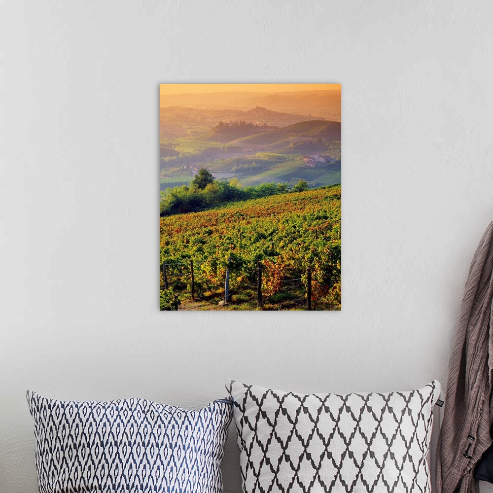 A bohemian room featuring Italy, Piedmont, Monferrato, hills and vineyards