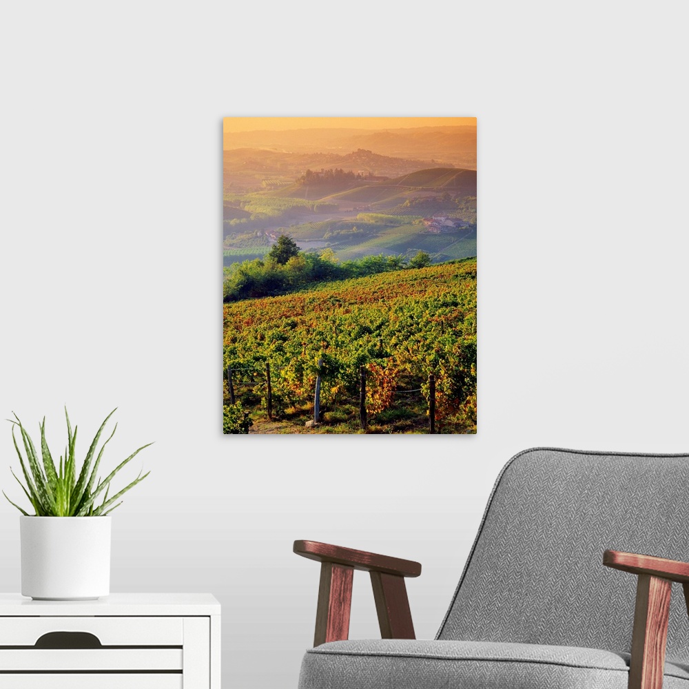 A modern room featuring Italy, Piedmont, Monferrato, hills and vineyards