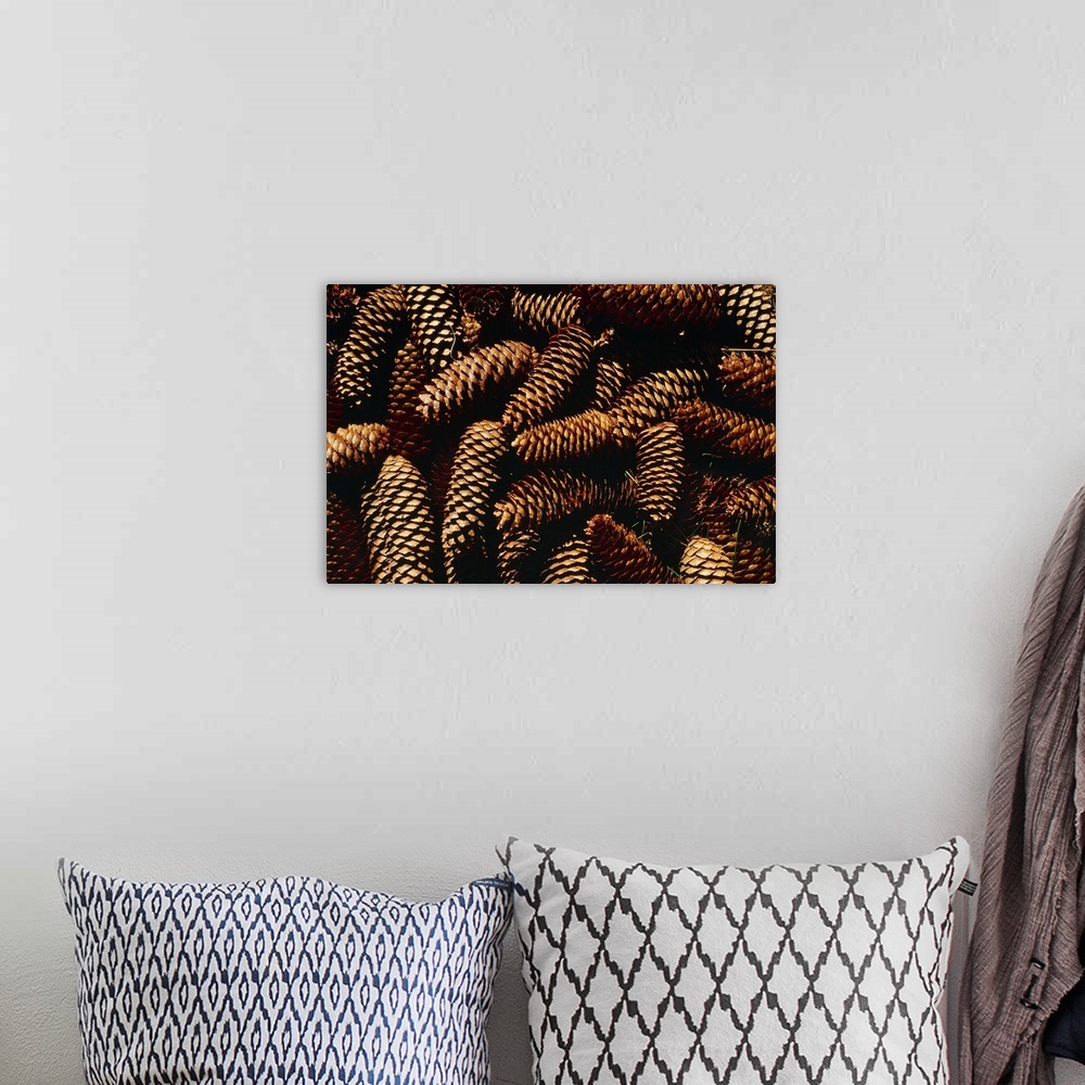A bohemian room featuring Italy, Pine cones