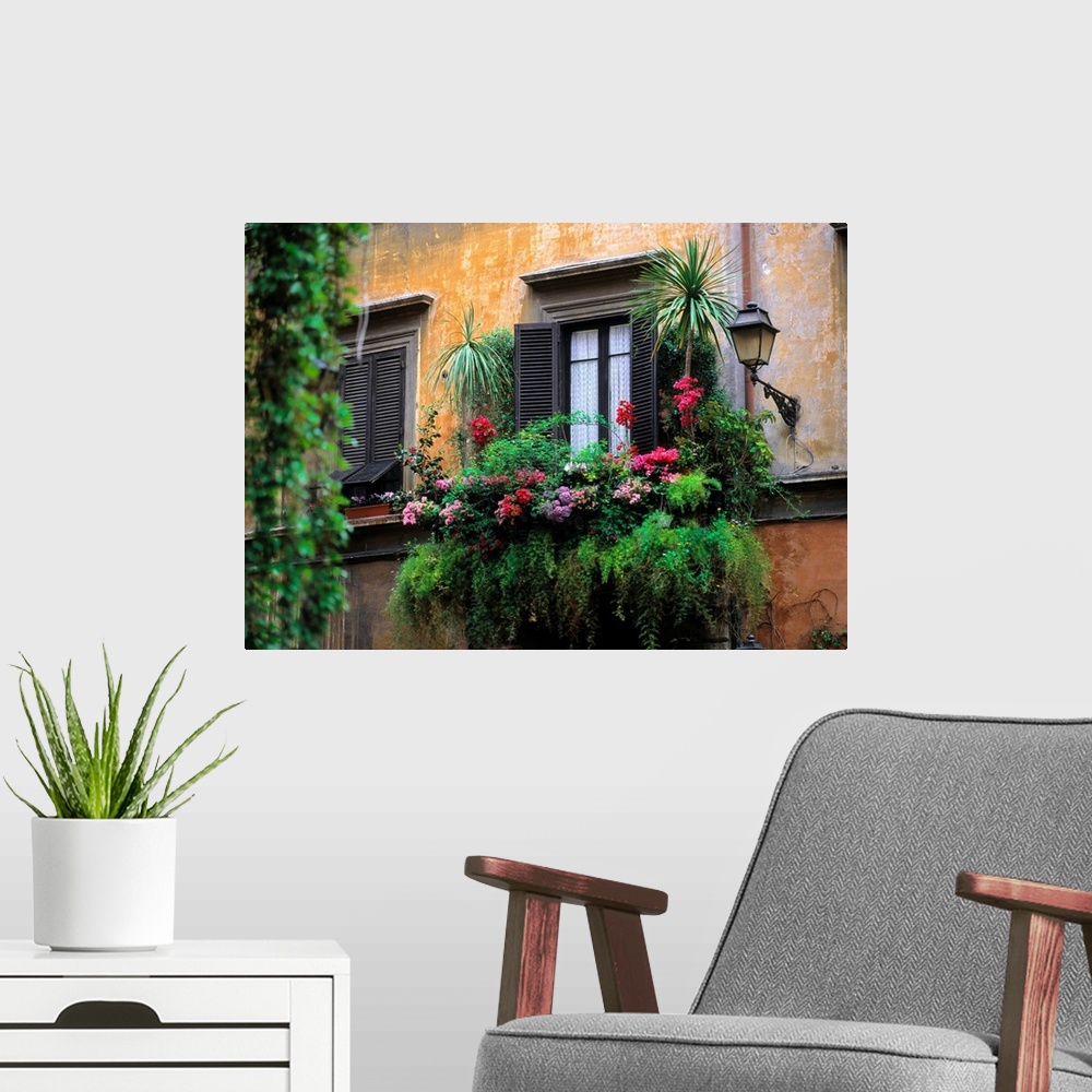 A modern room featuring Italy, Rome, Historical Center, typical window with flowers