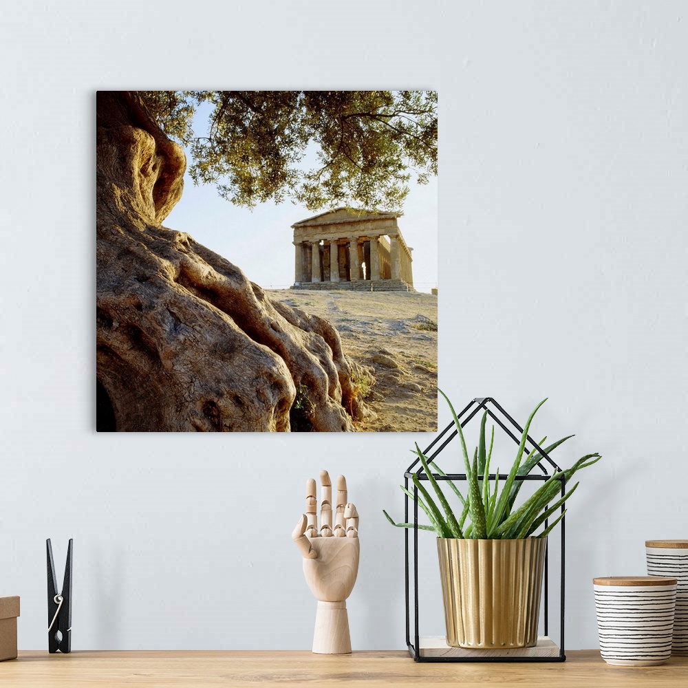A bohemian room featuring Italy, Sicily, Agrigento, Valley of the Temples, Temple of Concordia