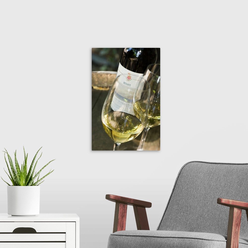 A modern room featuring Italy, Sicily, Mount Etna, Glass of white wine carricante Pietramarina