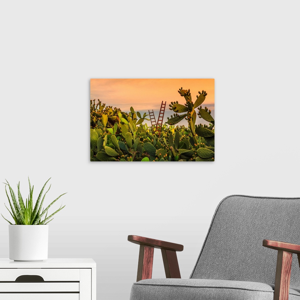 A modern room featuring Italy, Sicily, Paterno, Prickly pear field.
