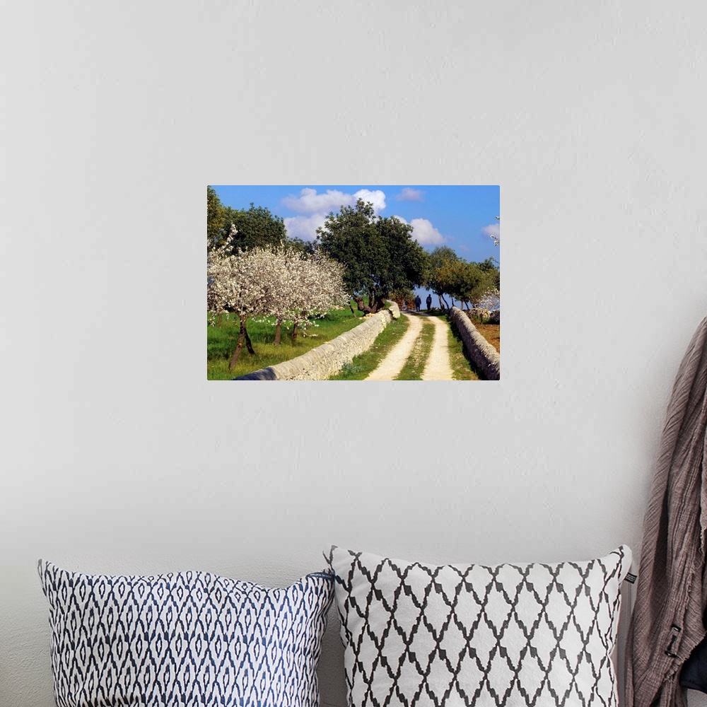 A bohemian room featuring Italy, Sicily, Ragusa, Country road and almond trees in bloom near Modica