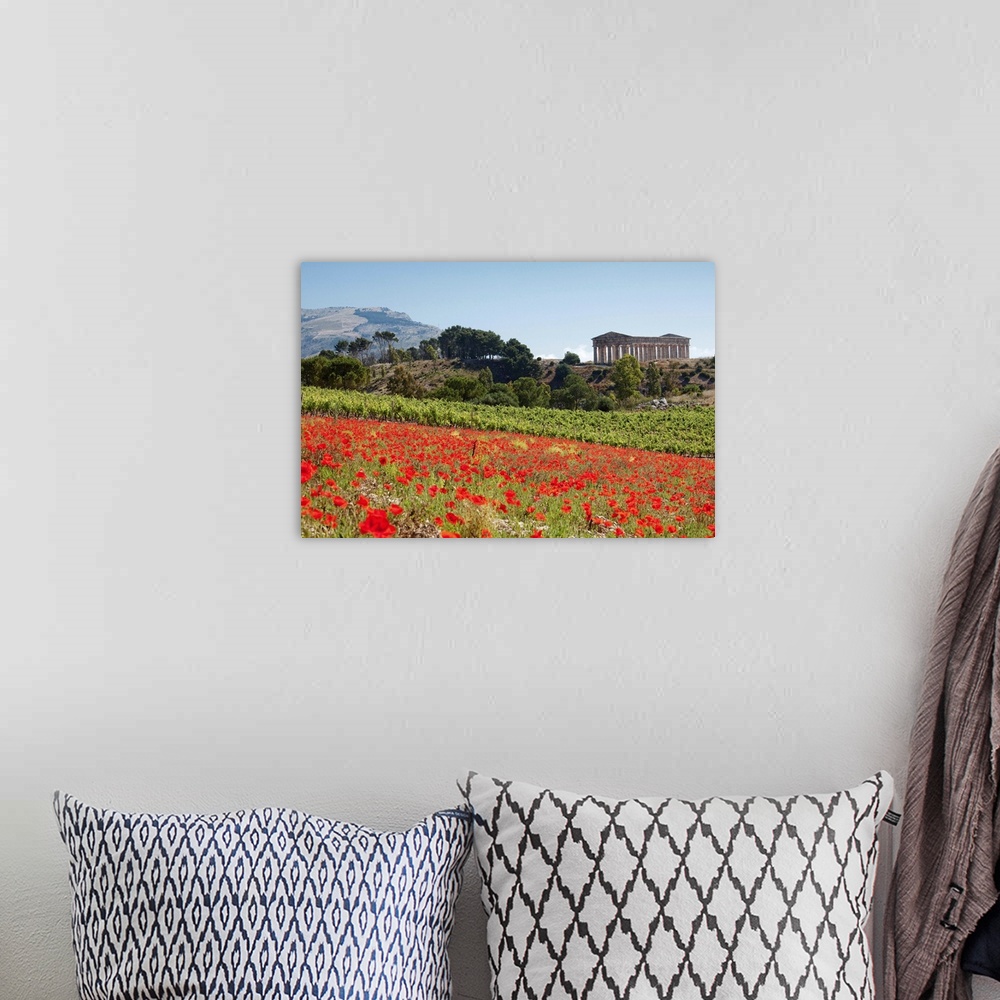 A bohemian room featuring Italy, Sicily, Segesta, Poppy meadow and Segesta temple