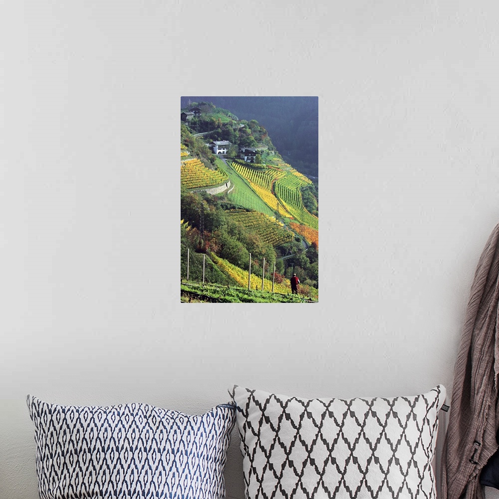 A bohemian room featuring Italy, South Tyrol, Bolzano, Valle Isarco, vineyards near Chiusa village