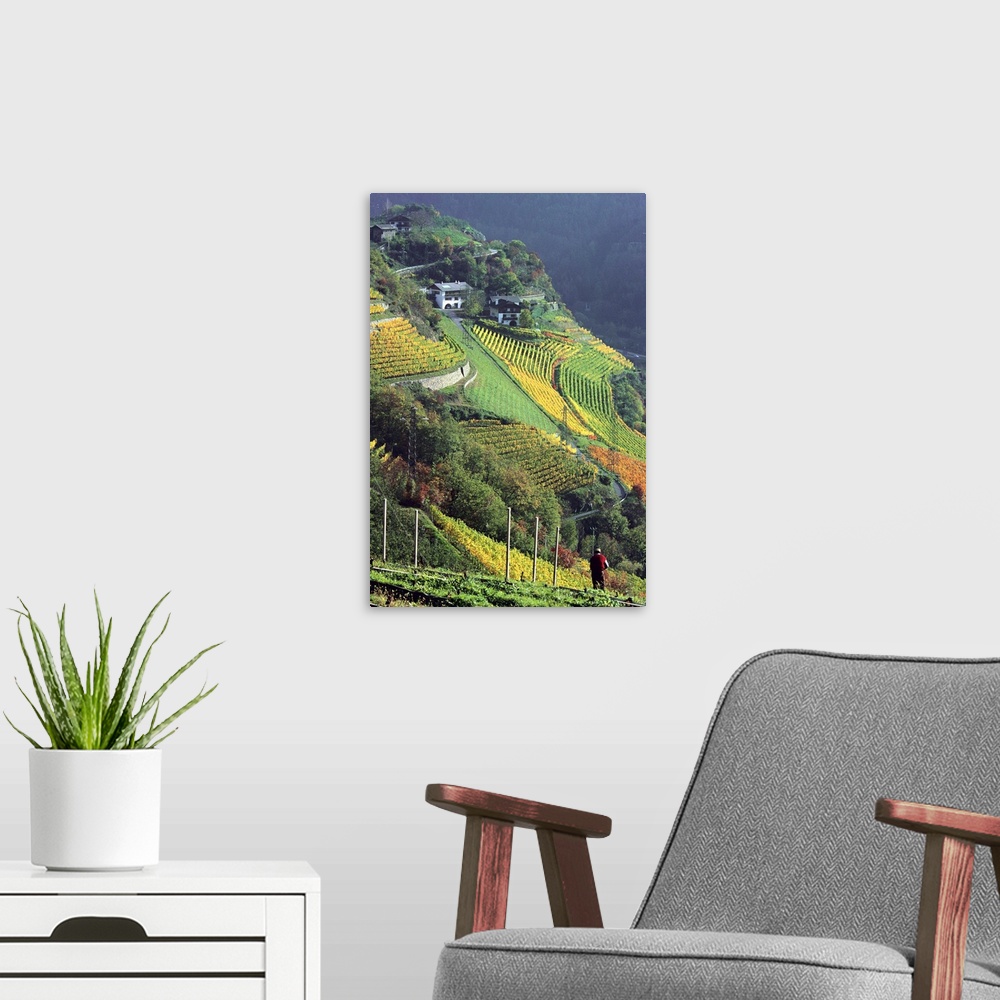 A modern room featuring Italy, South Tyrol, Bolzano, Valle Isarco, vineyards near Chiusa village