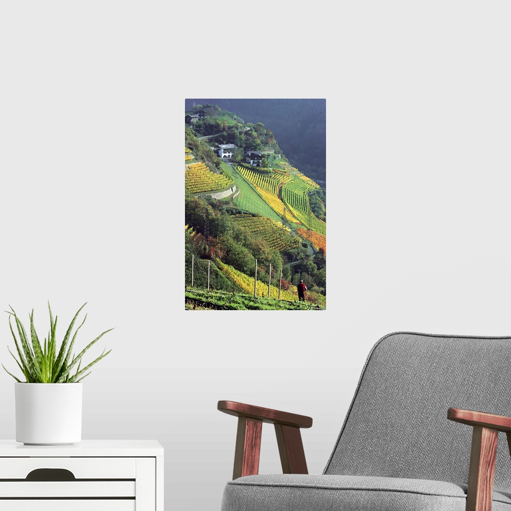 A modern room featuring Italy, South Tyrol, Bolzano, Valle Isarco, vineyards near Chiusa village