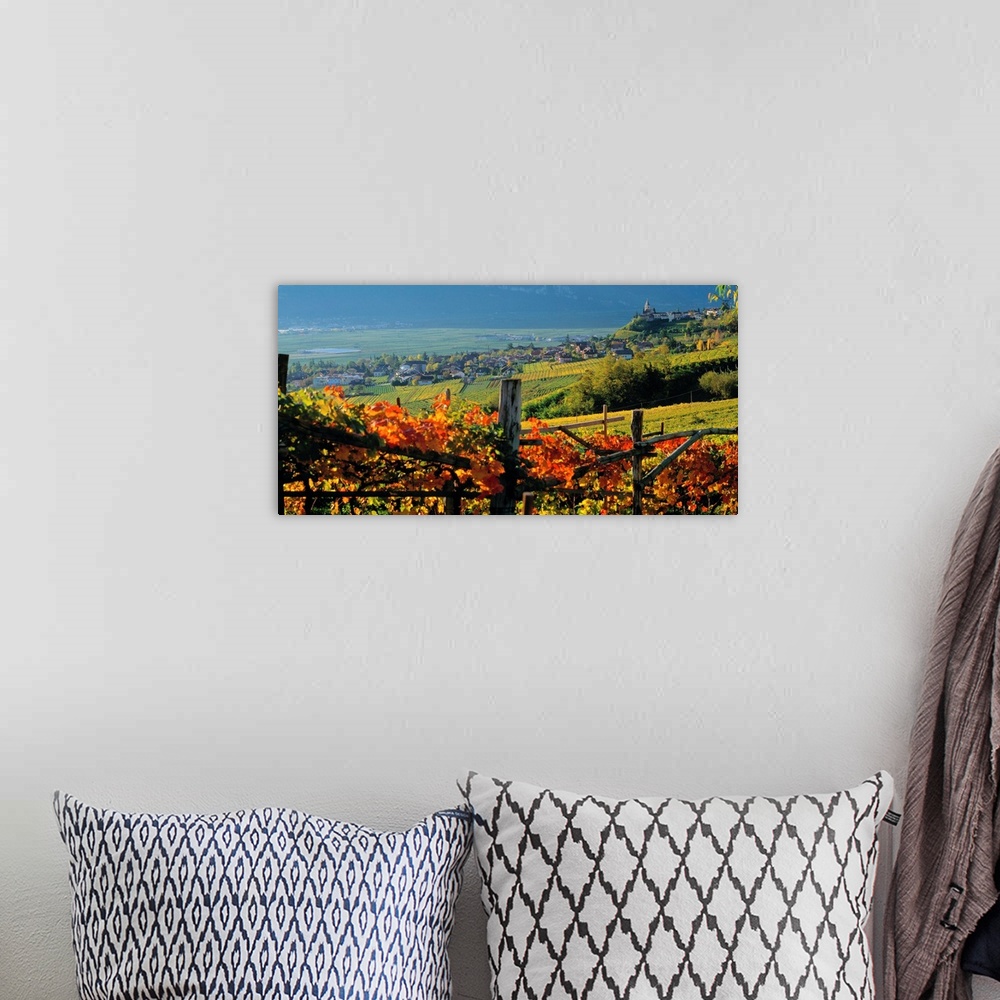 A bohemian room featuring Italy, South Tyrol, Caldaro, Wine road, vineyards near Termeno (Tramin)
