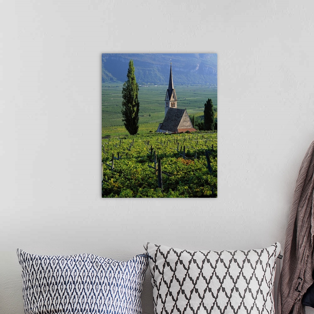 A bohemian room featuring Italy, South Tyrol, Wine road, Appiano (Eppan), vineyards and apple tree orchard