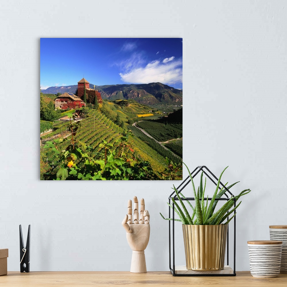 A bohemian room featuring Italy, South Tyrol, wine-road, Warth castle and vineyard towards Bolzano