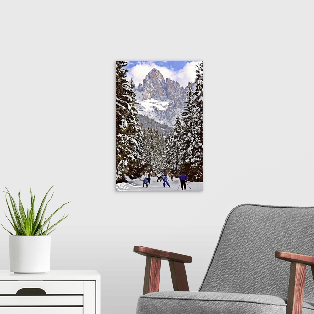 A modern room featuring Italy, Trentino-Alto Adige, Trentino, Dolomites, Alps, Parco Naturale Paneveggio Pale di San Mart...