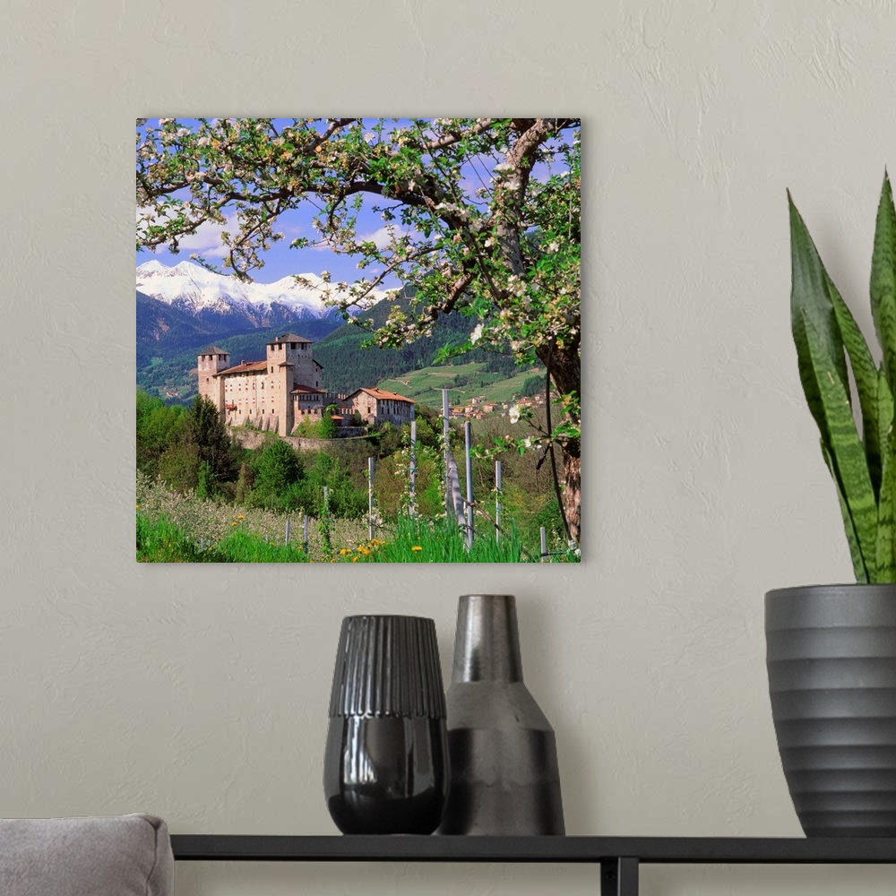A modern room featuring Italy, Trentino, Apple orchard and Castel Cles