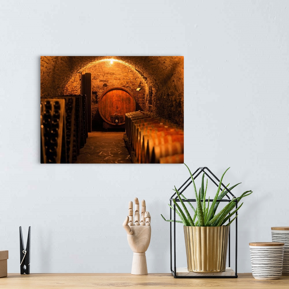 A bohemian room featuring Italy, Trentino, Balter Farm, cellar
