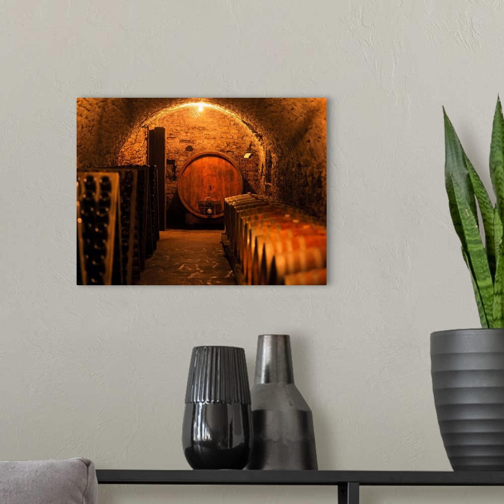 A modern room featuring Italy, Trentino, Balter Farm, cellar