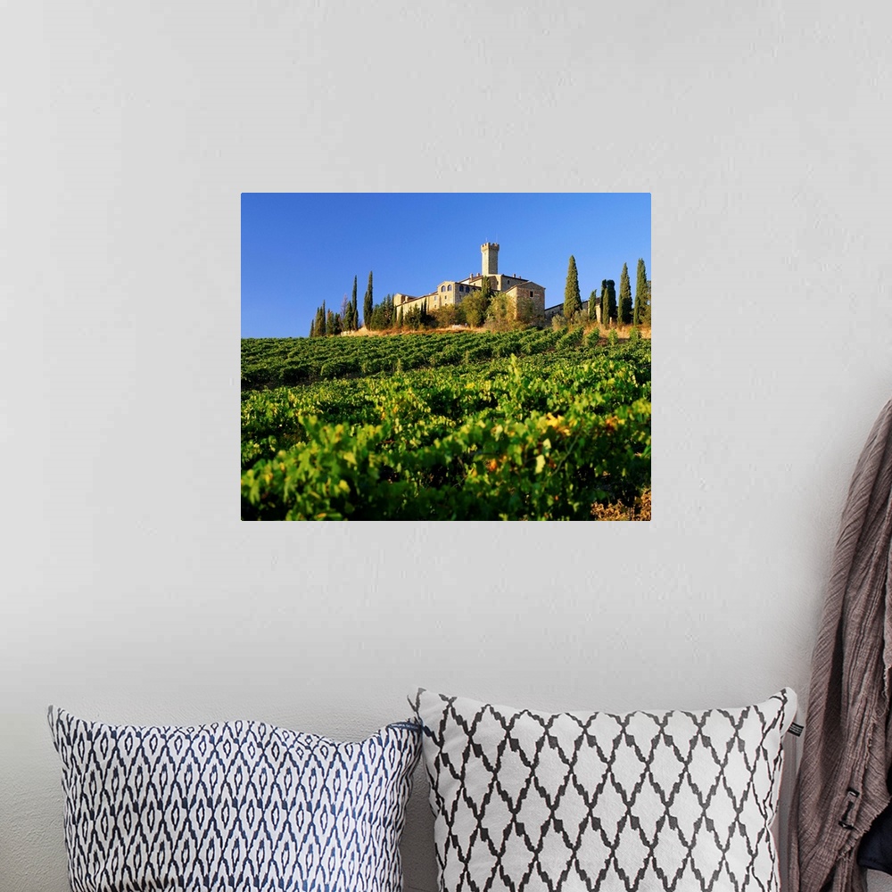 A bohemian room featuring Italy, Tuscany, Banfi farm, vineyard and castle
