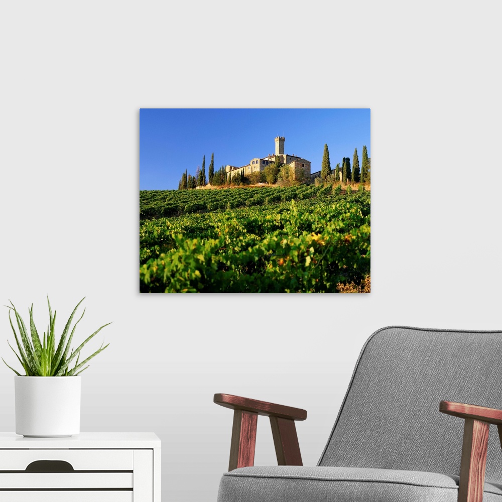 A modern room featuring Italy, Tuscany, Banfi farm, vineyard and castle