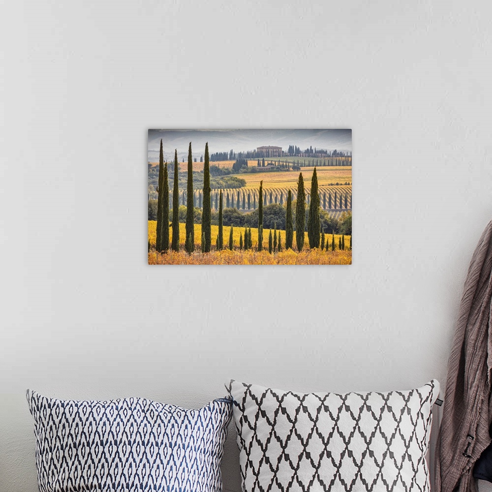 A bohemian room featuring Italy, Tuscany, Brunello wine road, Siena district, Orcia Valley, Montalcino, Landscape with Sang...