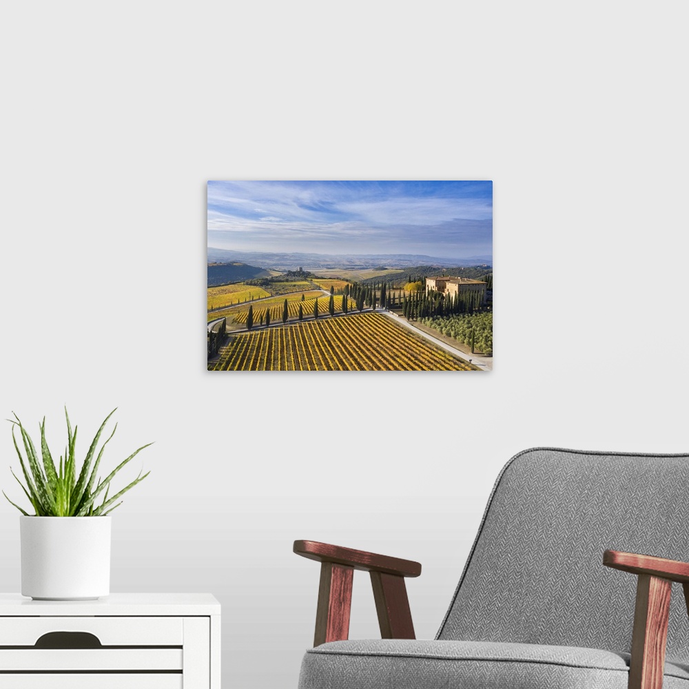 A modern room featuring Italy, Tuscany, Brunello wine road, Siena district, Orcia Valley, Montalcino, View of the Podere ...